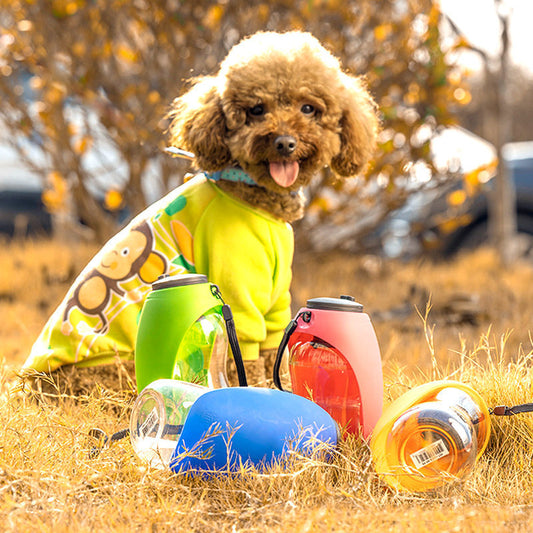 Portable Pet Water Bottle with Drinking Bowl – Hydration On the Go! - Furever Base